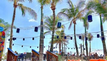 The image features an outdoor seating area with palm trees, string lights, and colorful furniture in a tropical setting under a clear blue sky.