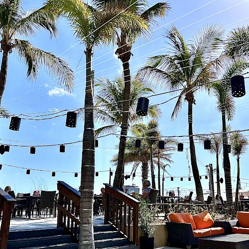 An outdoor beachside seating area features palm trees, string lights, tables, and cushioned seating, all under a clear blue sky.