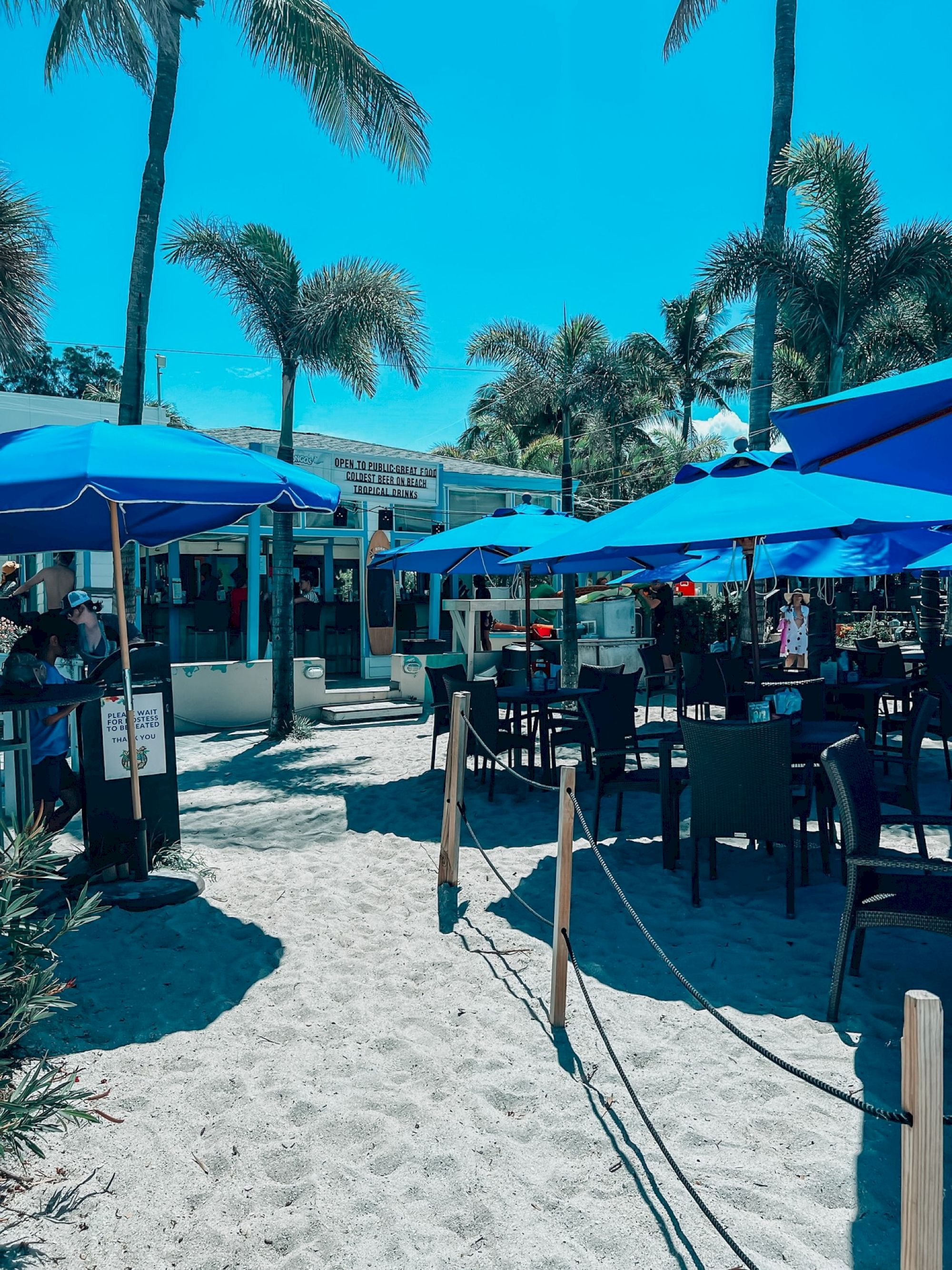 The image shows an outdoor beachside cafe with blue umbrellas, tables, and chairs on sandy ground, surrounded by palm trees and a clear blue sky.