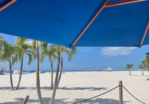 A tranquil beach scene with palm trees, white sand, and blue sky under a shaded umbrella, overlooking the ocean in the distance.