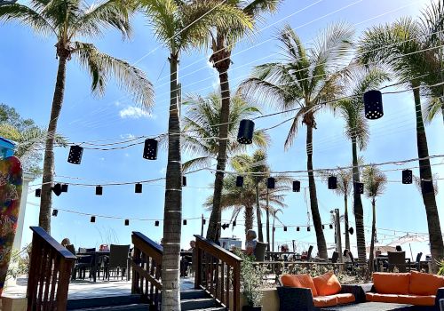 An outdoor seating area with palm trees, string lights, and comfortable seating, set against a clear blue sky backdrop.