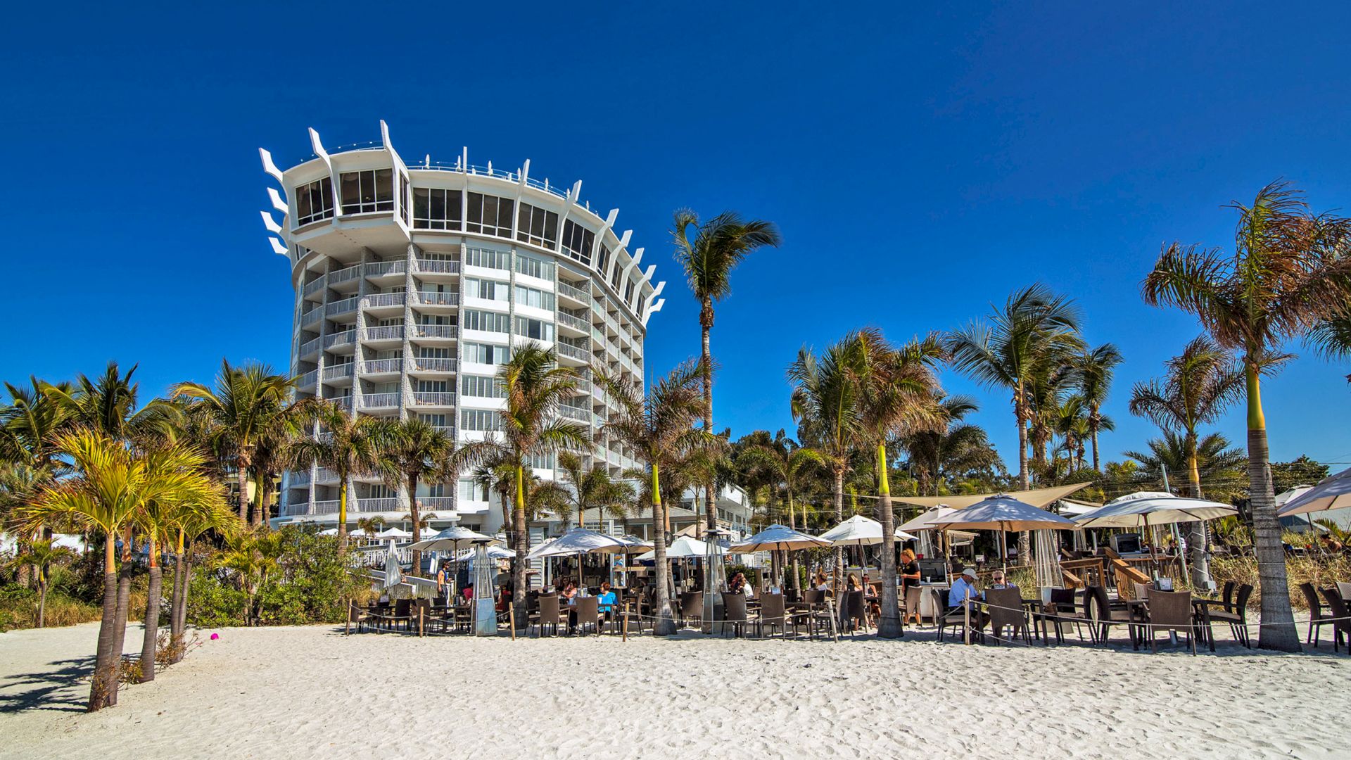 A tall, modern hotel surrounded by palm trees, with beach chairs and umbrellas set up on the sandy beach under a clear blue sky.